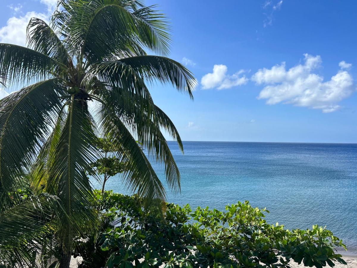 La Plage Martinique Schoelcher Bagian luar foto