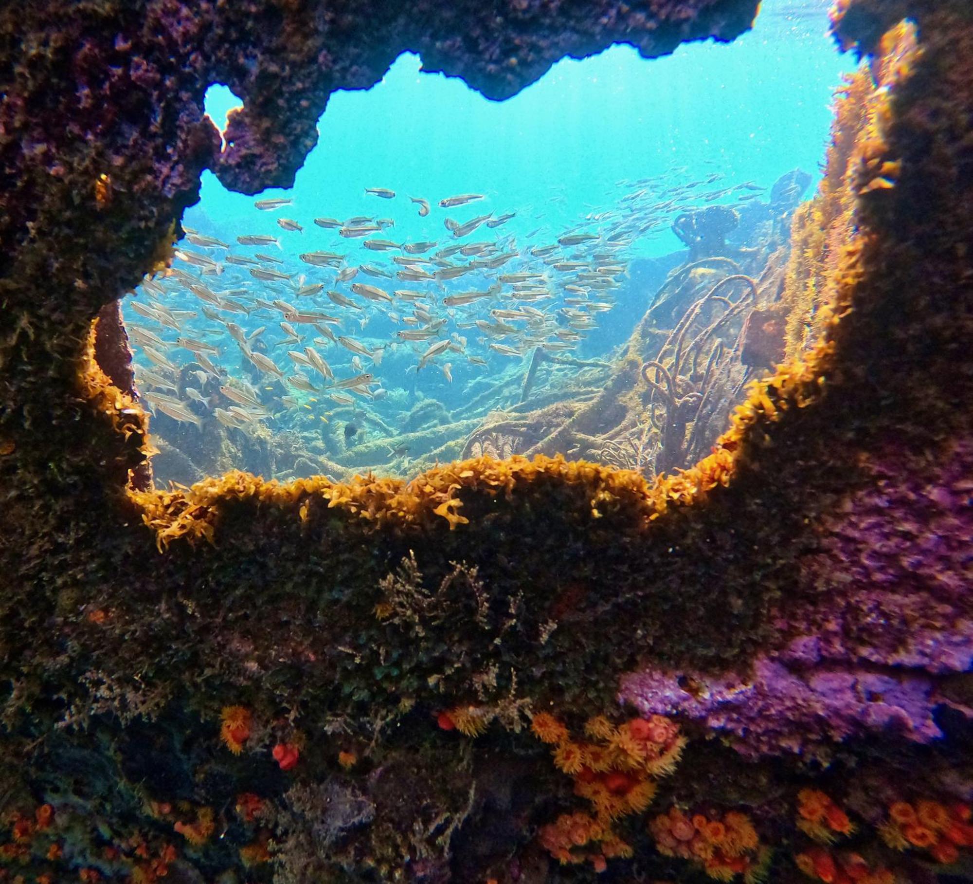 La Plage Martinique Schoelcher Bagian luar foto